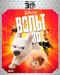 Bolt
