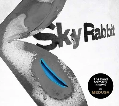 Sky Rabbit: Av Media Buy Sky Rabbit: Av Media