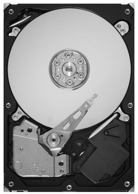 Buy Seagate Barracuda 2 TB Desktop Internal Hard Drive (ST2000DL003): Internal Hard Drive