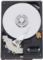 Seagate Barracuda 1 TB Desktop Internal Hard Drive (ST1000DM003): Internal Hard Drive