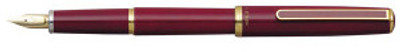 Buy Platinum Standard Fountain Pen: Pen