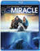 Big Miracle