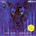 James Asher/Shaman Drums