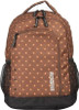 American Tourister Backpack