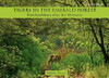 Buy Book Tigers in The Emerald Forest: Ranthambhore after the Monsoon by 