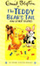 The Teddy Bear's Tail And Other Stories by Enid Blyton
