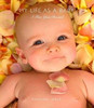 Buy Book My Life As A Baby A Five Year Record by 