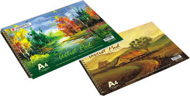 Bilt A4 Notebook: Diary Notebook Buy Bilt A4 Notebook: Diary Notebook