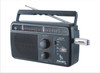 Pagaria 5 Band Pluto FM Radio