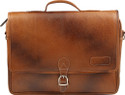 Tortoise Messenger Bag  - Unisex: Hand Messenger Bag