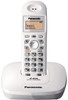 Panasonic KX-TG3611SX Cordless Landline Phone (Silver)