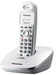 Panasonic KX-TG3600SX Cordless Landline Phone