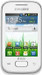 Samsung Galaxy Y Plus S5303