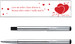 Parker Vector Valentine Edition Stainless Steel CT Roller Ball Pen