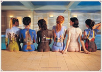 Pink Floyd - Back Catalogue Paper Print: Poster