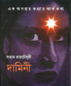 Damini: Ek Asohay Kanyar Artokatha: Regionalbooks