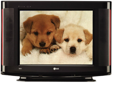 LG 14SA2BB CRT 14 inches Television: Television Buy LG 14SA2BB CRT 14 inches Television: Television